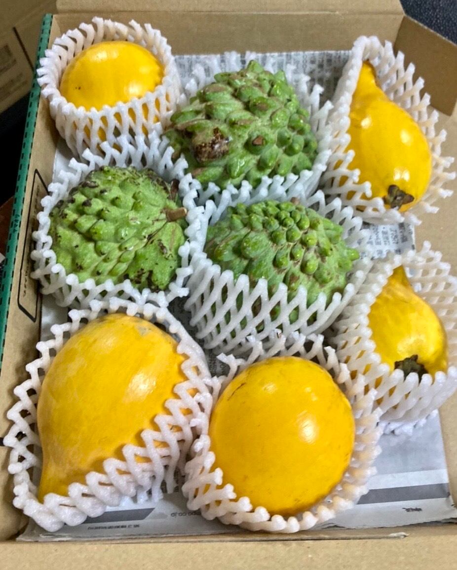 減農薬】青森県産 冷凍 夏イチゴ 10kg 冷凍イチゴ スムージー