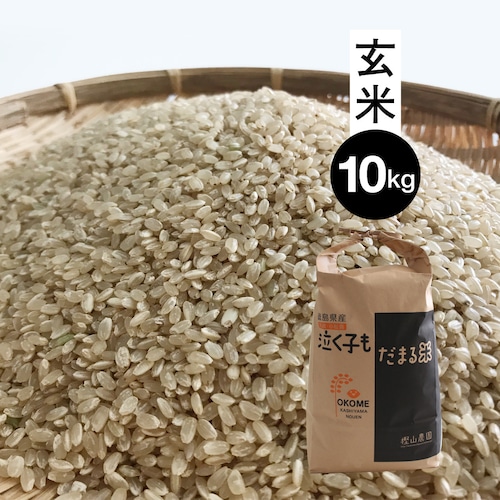 泣く子もだまる米10kg （玄米）