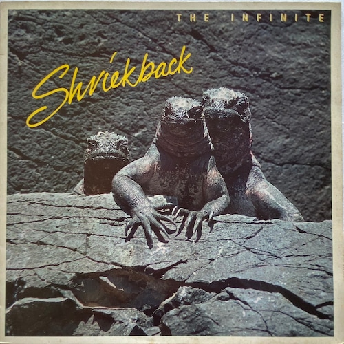 【LP】Shriekback – The Infinite