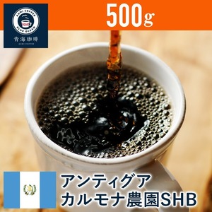 15 コーヒー 青海スペシャリティ珈琲 グァテマラ アンティグア カルモナ農園SHB 500g