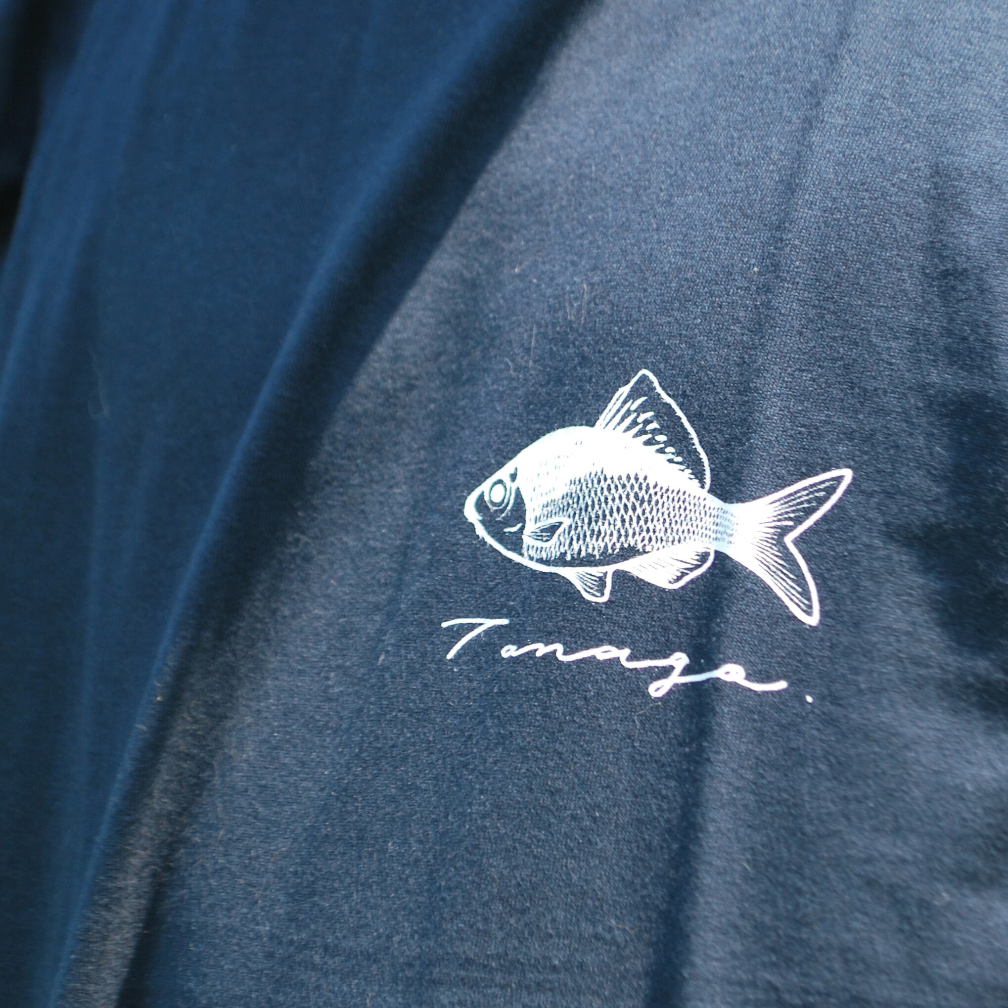 タナゴt タナゴt