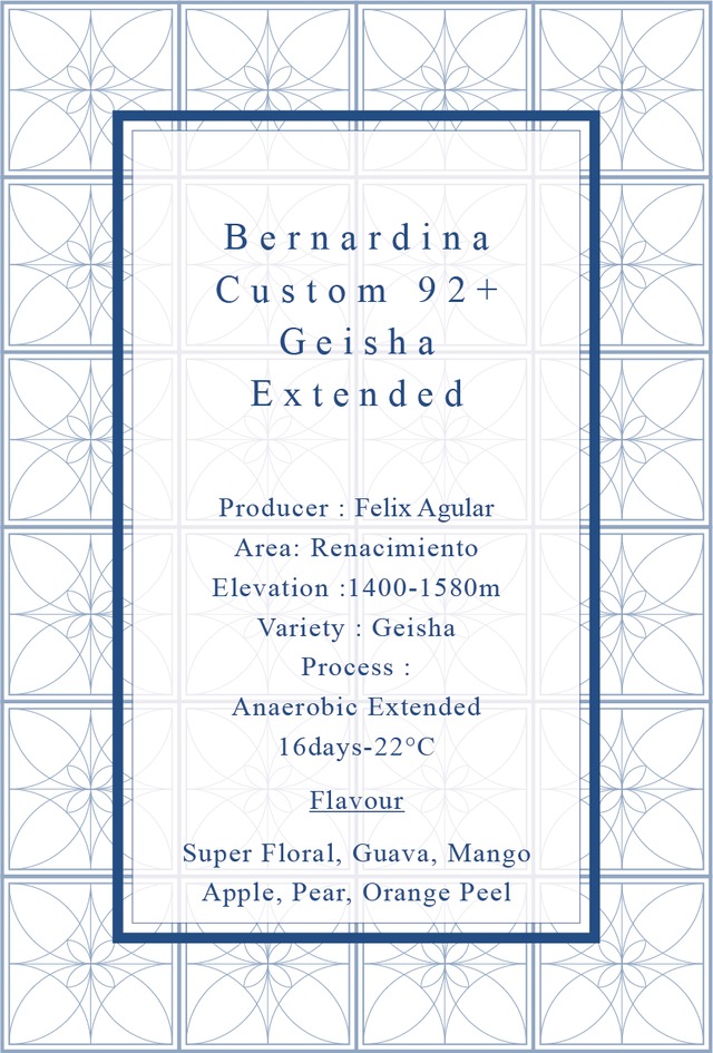 [カスタムロット]　Bernardina Custom 92+ Geisha Extended Fermentation