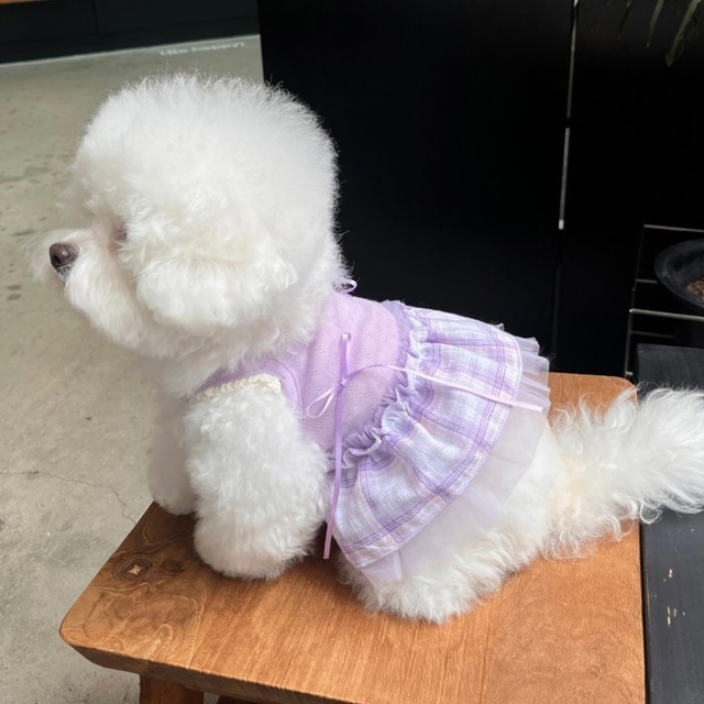 【予約】[Hi yeboo] viki tutu sleeveless (purple)