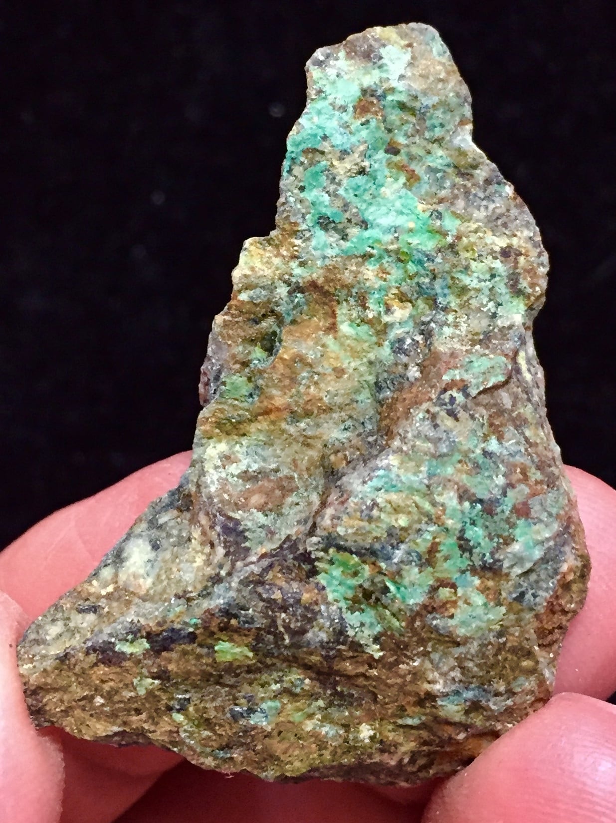 レムリアの太陽