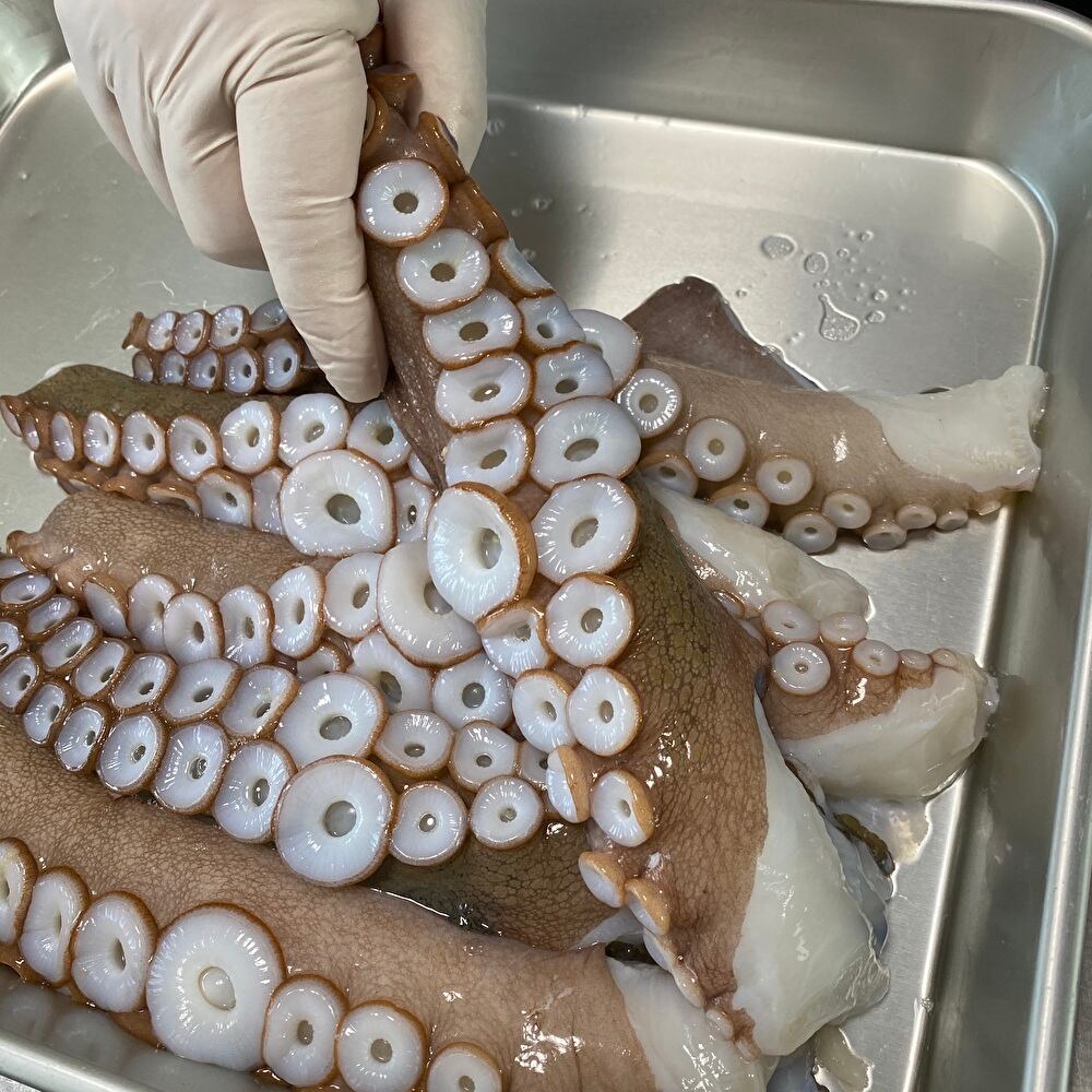 明石蛸のたこしゃぶ ３人用 210ｇ 贈答用木箱入り 五つ星ひょうご選定品 神戸グルメ