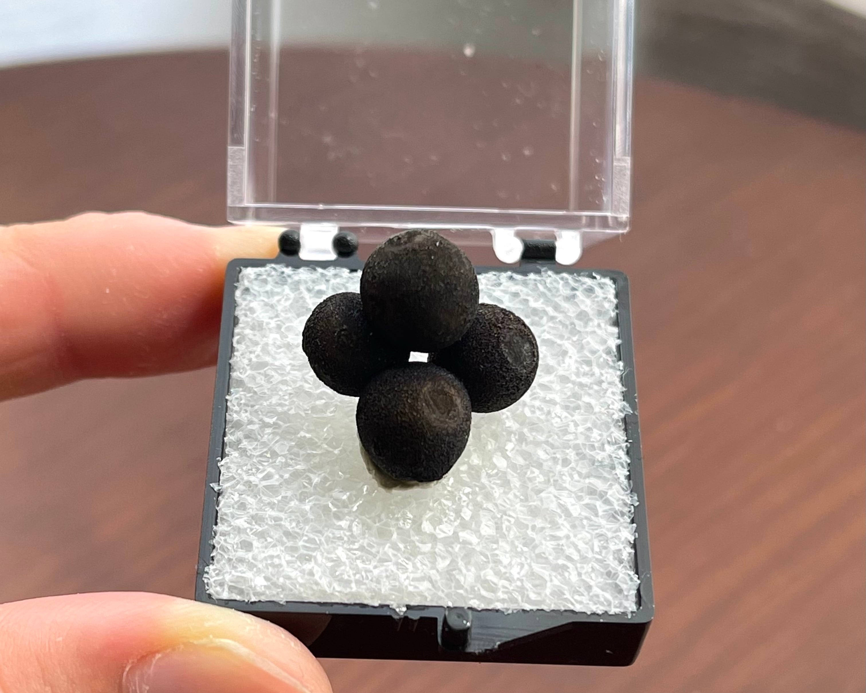 キャルコパイライト【Chalcopyrite】中国産 | PEANUTS MINERALS