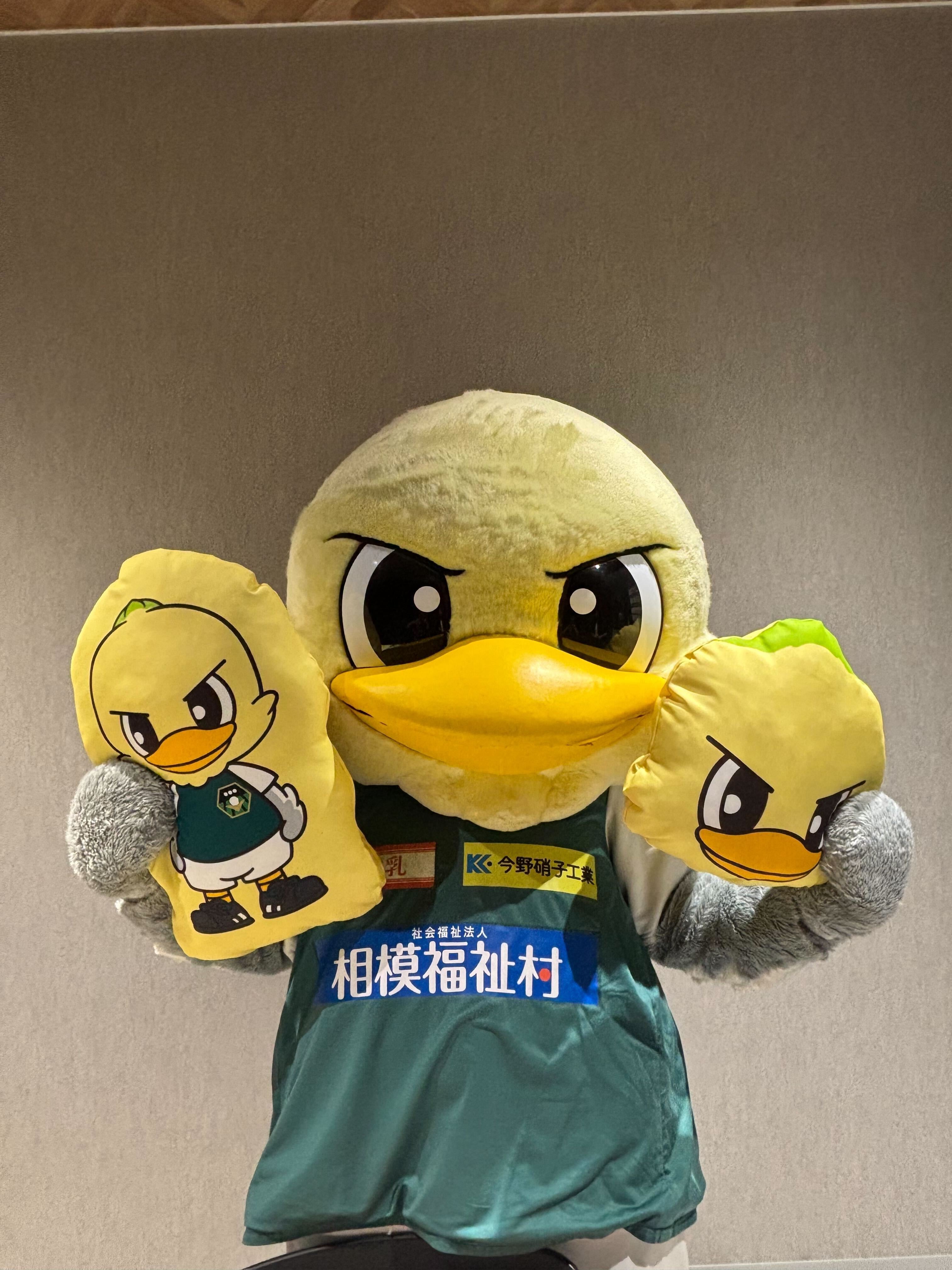 ガミティクッション（全身） | SC相模原公式オンラインショップ