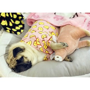 Dog wear  -duck pajamas-  　　dogw-132