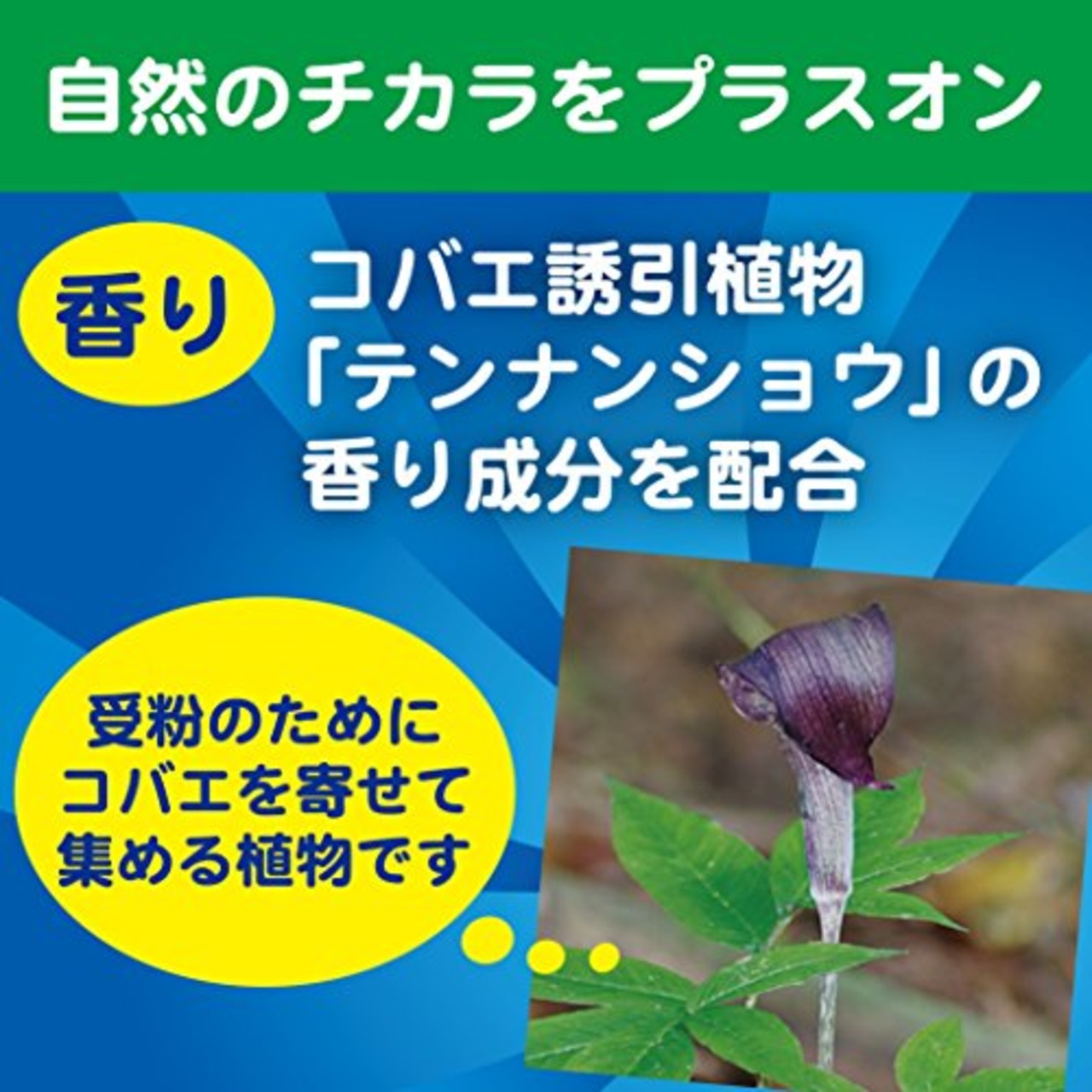 KINCHO コバエがポットン 吊るタイプ コバエ取り 1個入 殺虫成分不使用