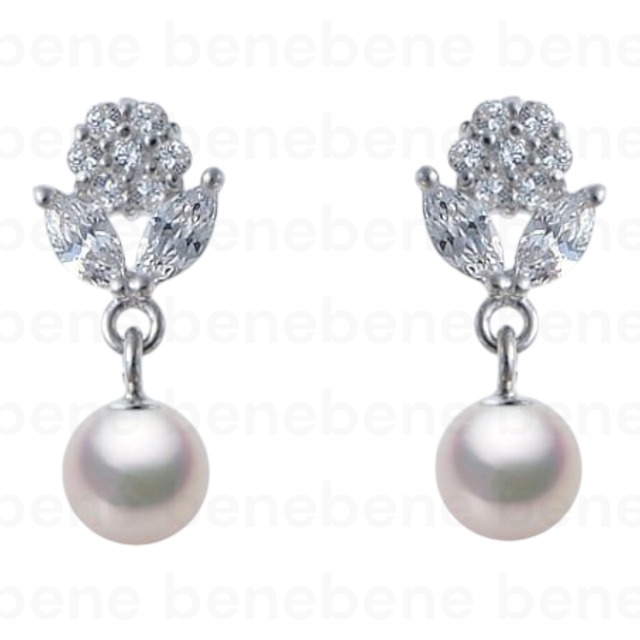 ﾃﾞｻﾞｲﾝﾋﾟｱｽSV ：typeC