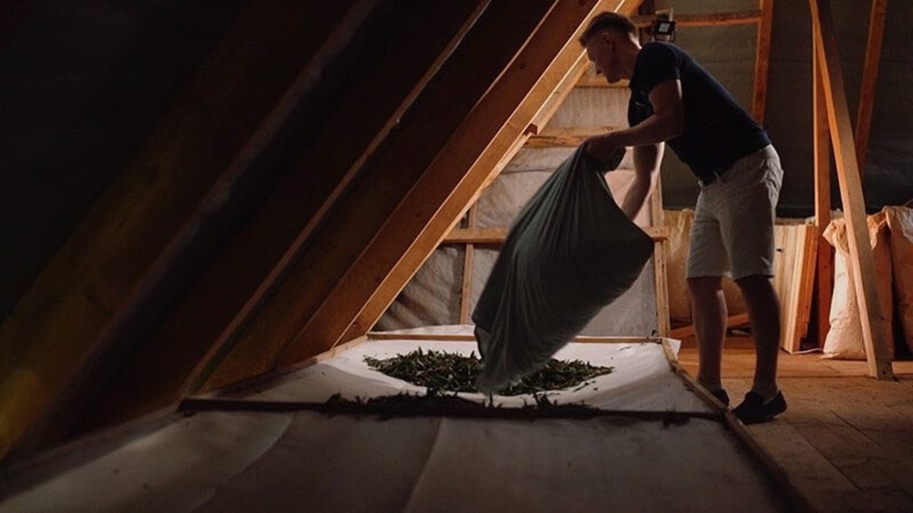 【MOLFAR】ウクライナ産ハーブティー（ヤナギラン茶　ラズベリーの葉） - 9