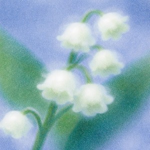 N様専用ページ