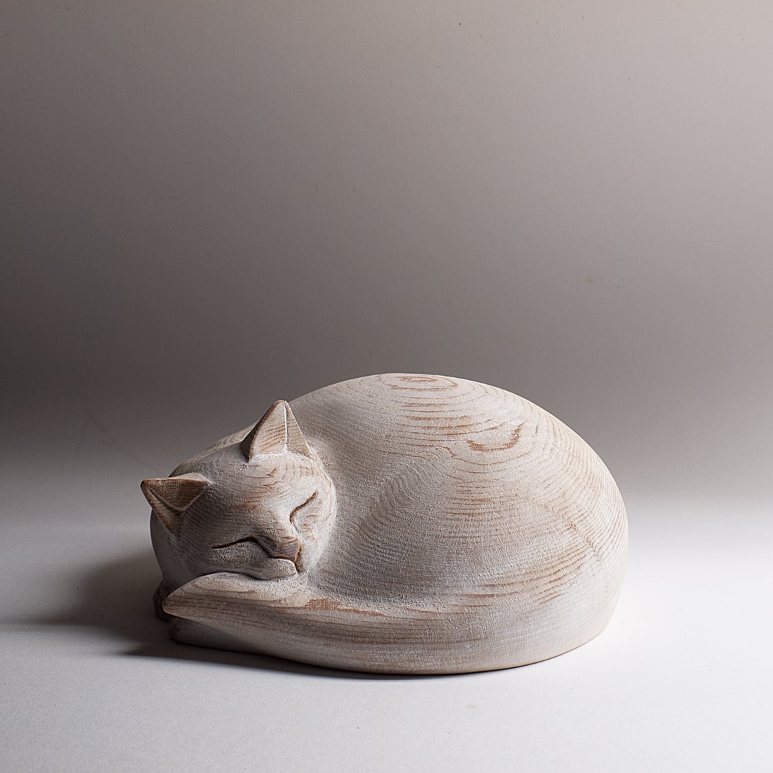 香箱座り猫 20251108 catloaf 20251108 | スギサキ彫刻工房