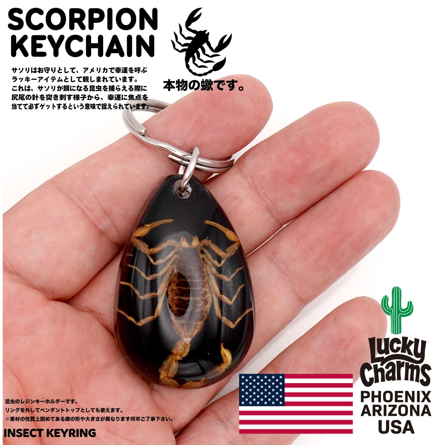 USA ARIZONA SCORPION DROP KEYCHAIN 蠍 サソリ スコーピオン お守り