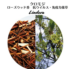 クロモジ茶（リラックス&抗ウイルス薬草）浴用〇