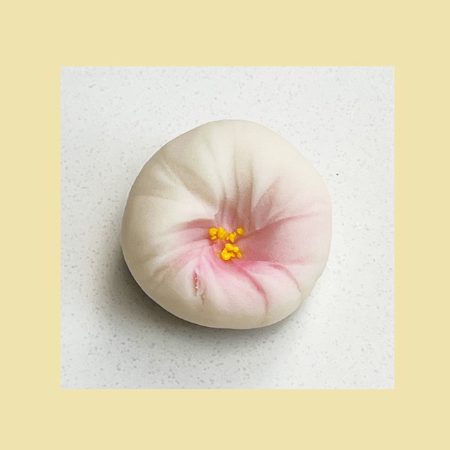 ８月の菓子　芙蓉（ふよう）