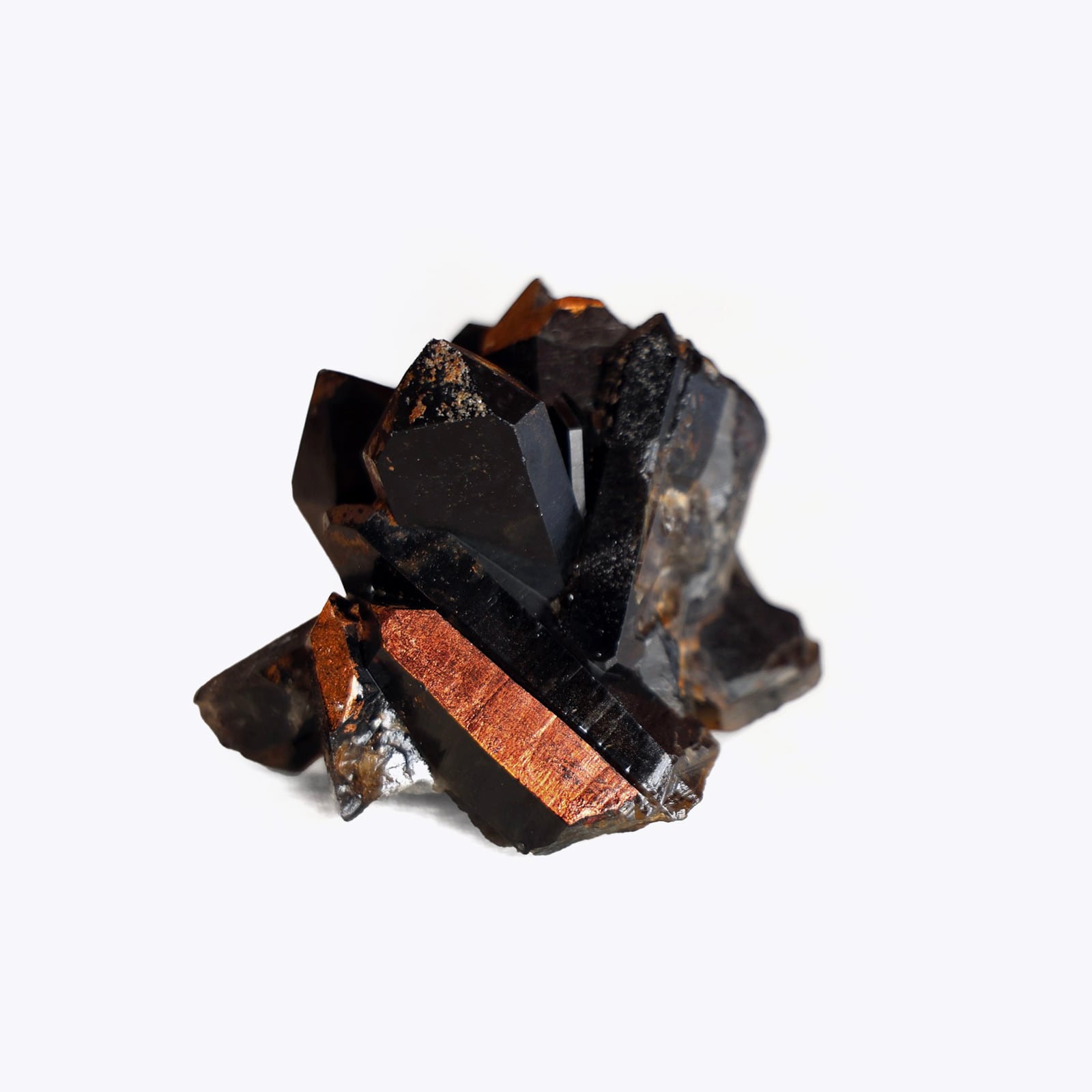 「人間の星」No.1