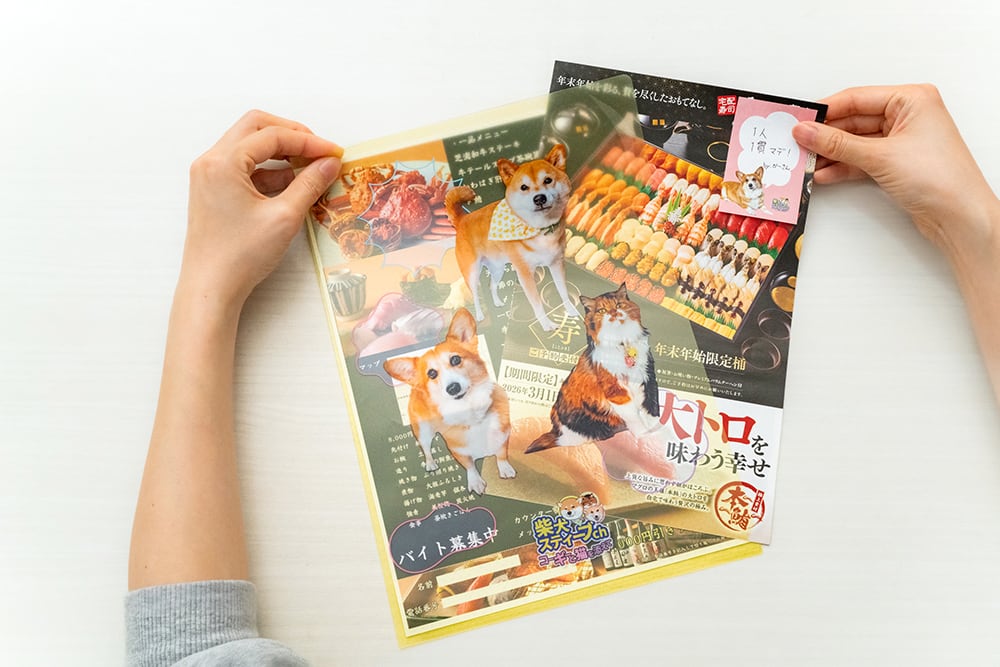 再入荷】“ちゃんと” クリアファイル A4・3種セット | Shi-Ba