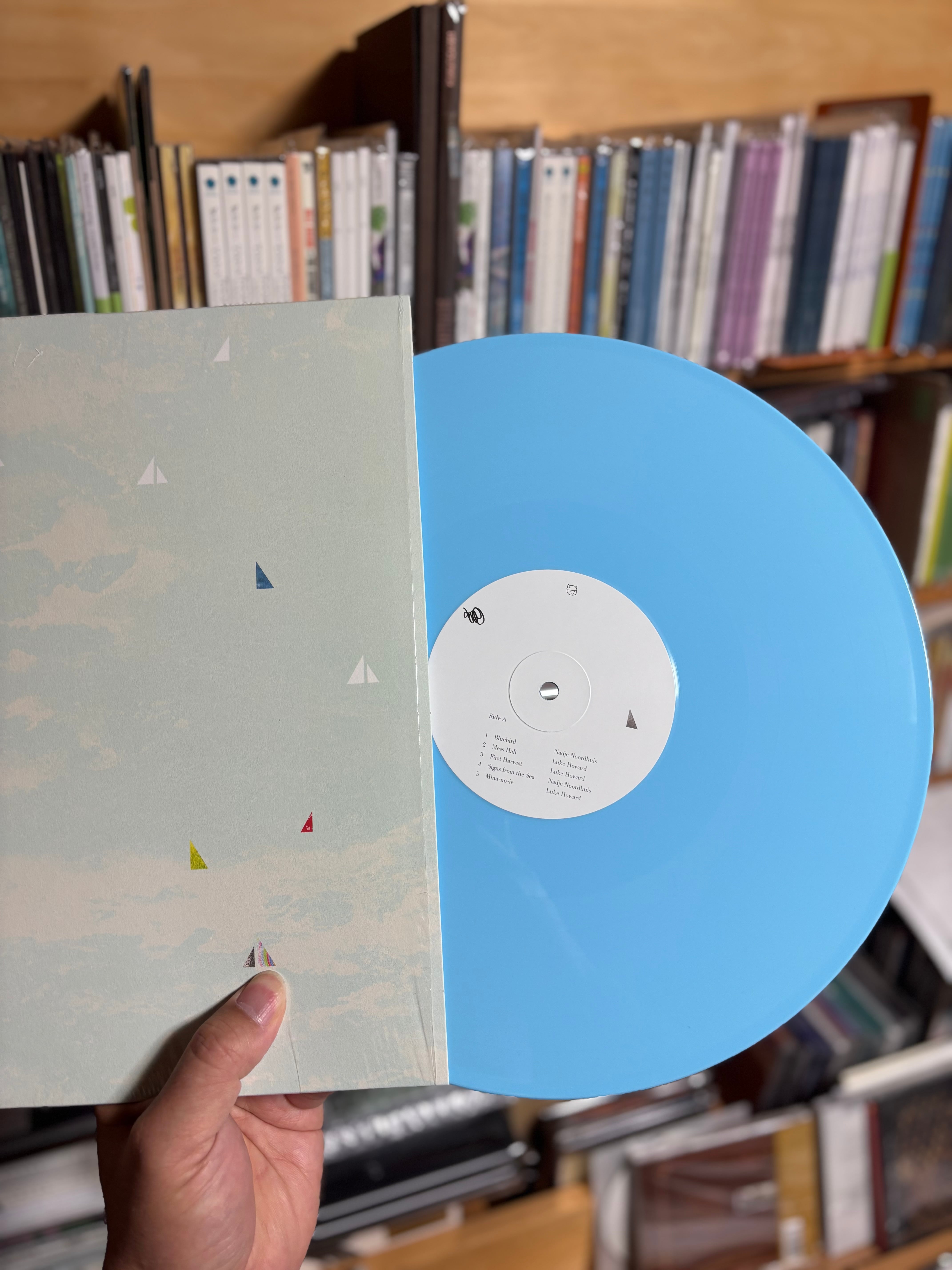 レコード】Luke Howard & Nadje Noordhuis - Ten Sails（Hobbledehoy