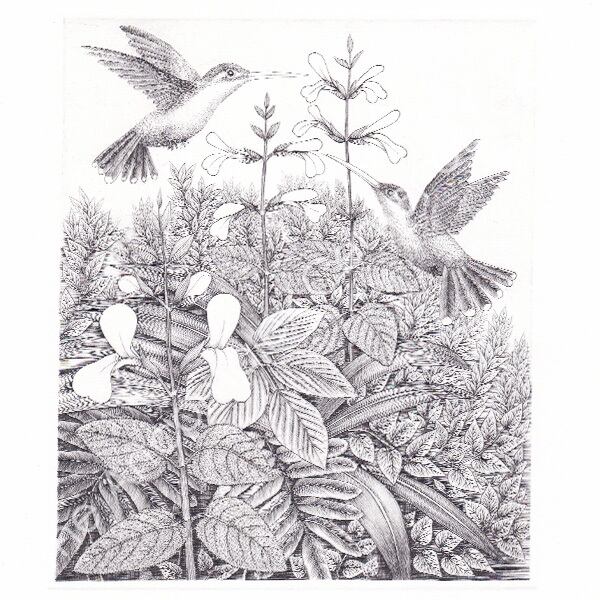 黒田茂樹「Resonance」