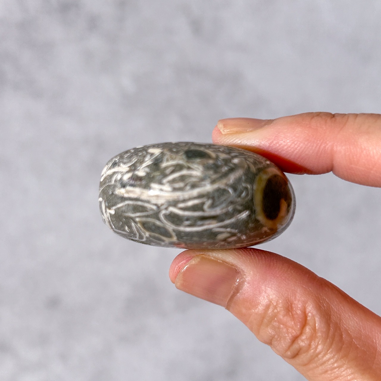 ツリテラアゲート 03 パーム * Turitella Agate * 天然石