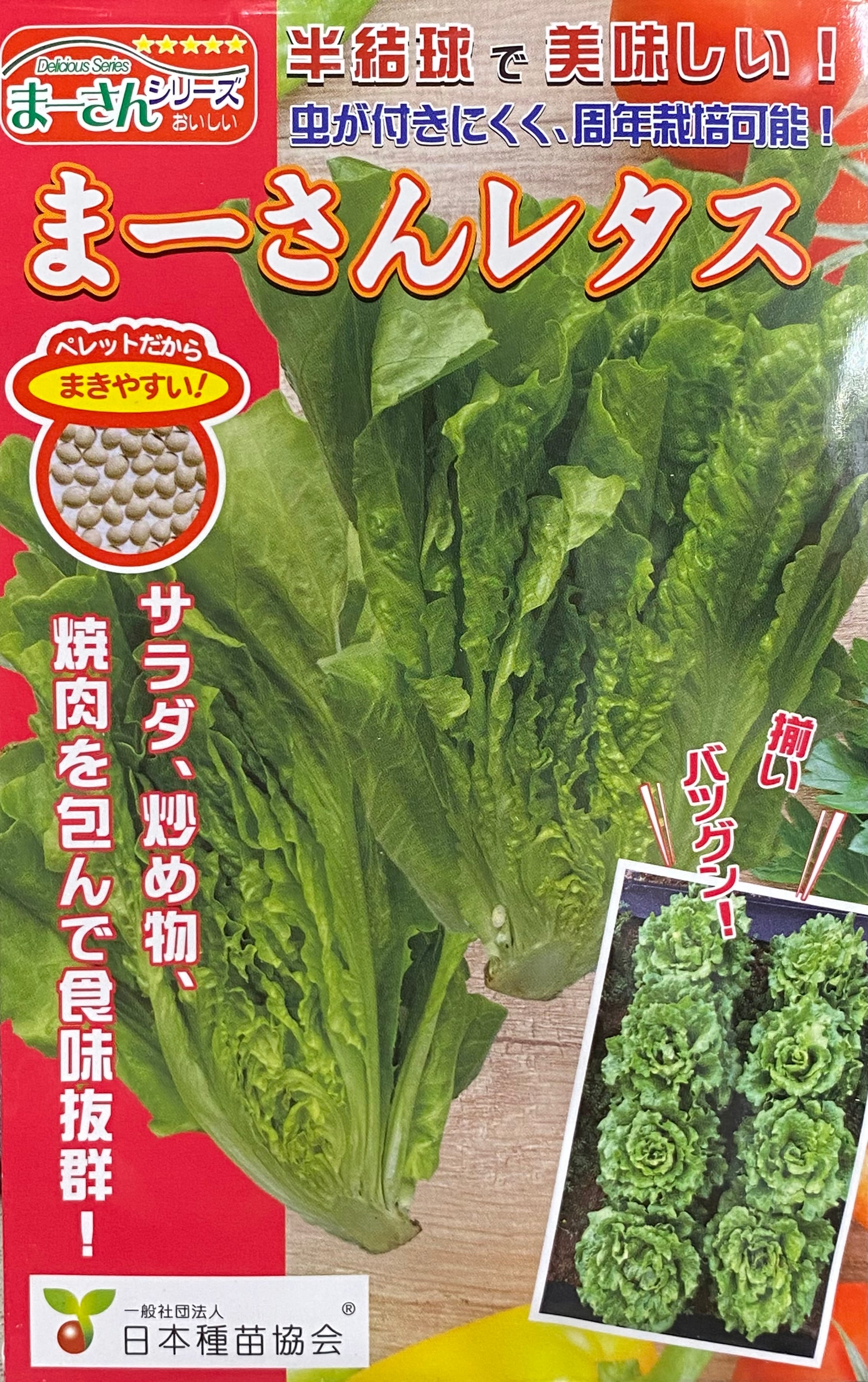 まーさんレタス」コート種子3ml約60粒 | wakabaseed