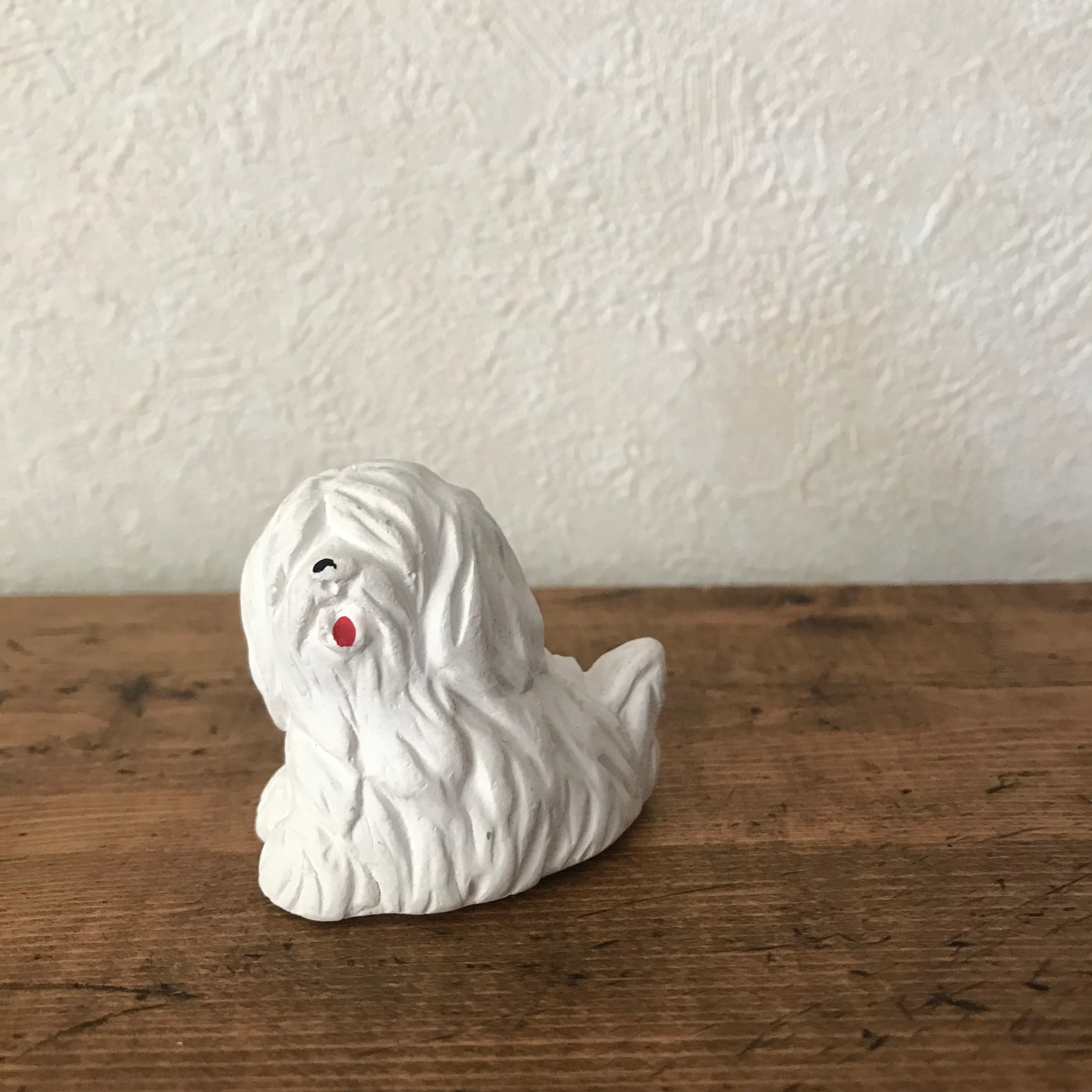 顔の見えない白い犬