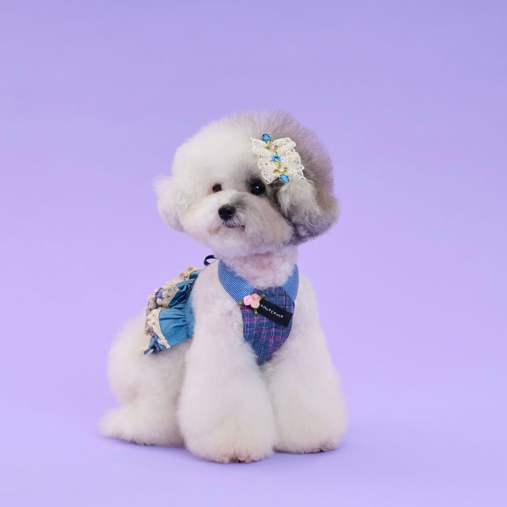 犬服ハンドメイド♡マーブル☆ marble