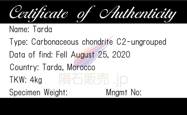 タルダ 隕石 g 炭素質コンドライトC2-ung 石質隕石 原石 標本 M2601