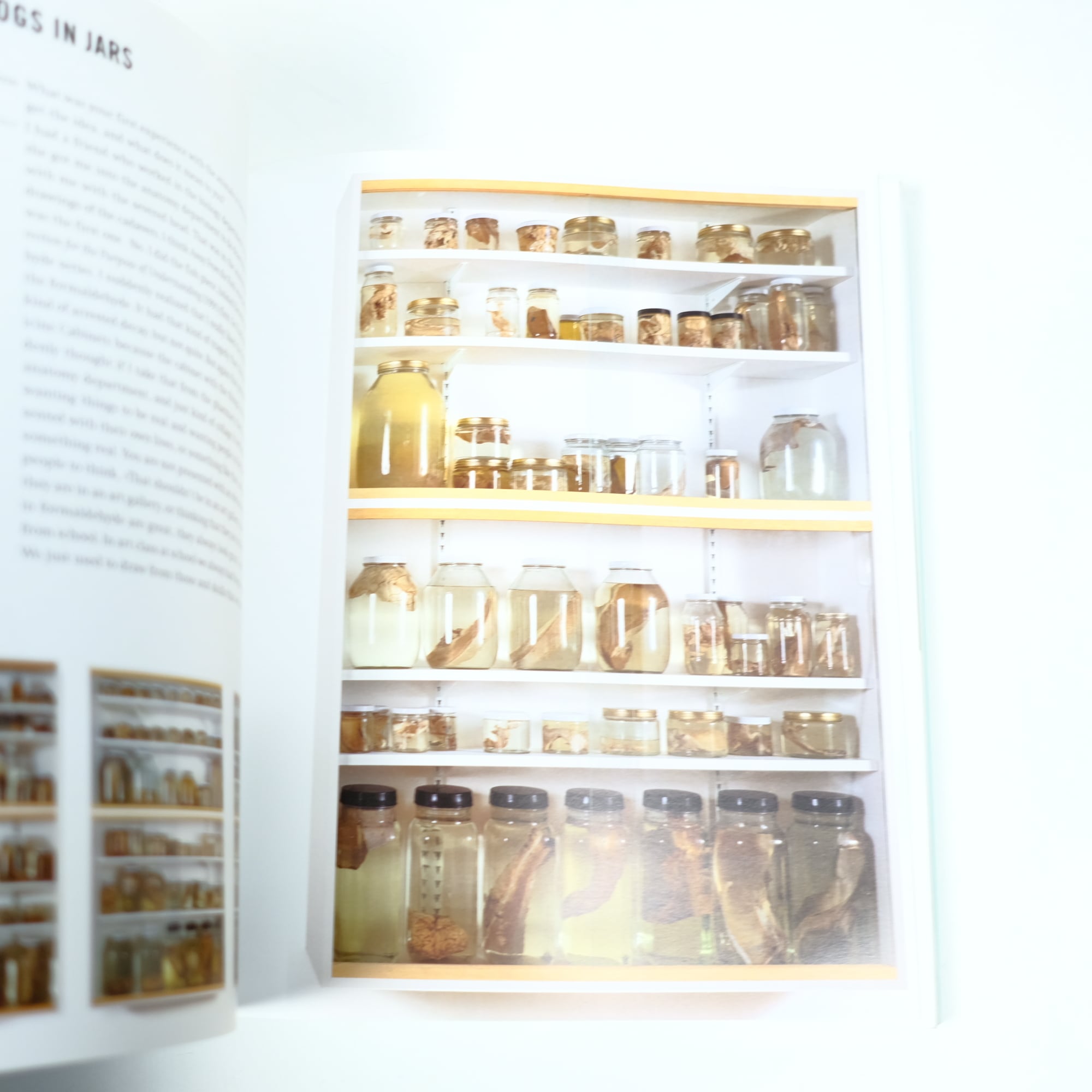 ダミアンハースト damienhirst 作品集 DAMIEN HIRST ダミアン・ハースト 洋書 写真集 作品集 初版