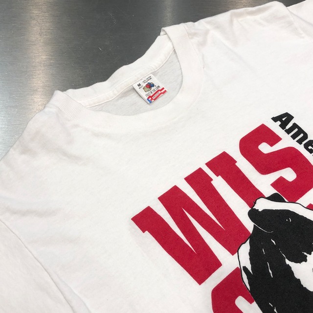 ⊕⊕ 1990s T-SHIRT "AMERICAN'S DAIRYLAND"