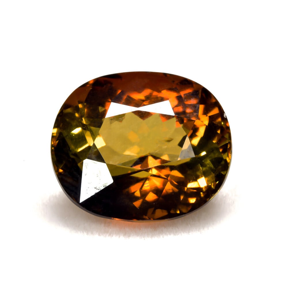 プレミアム | EBiS GEM