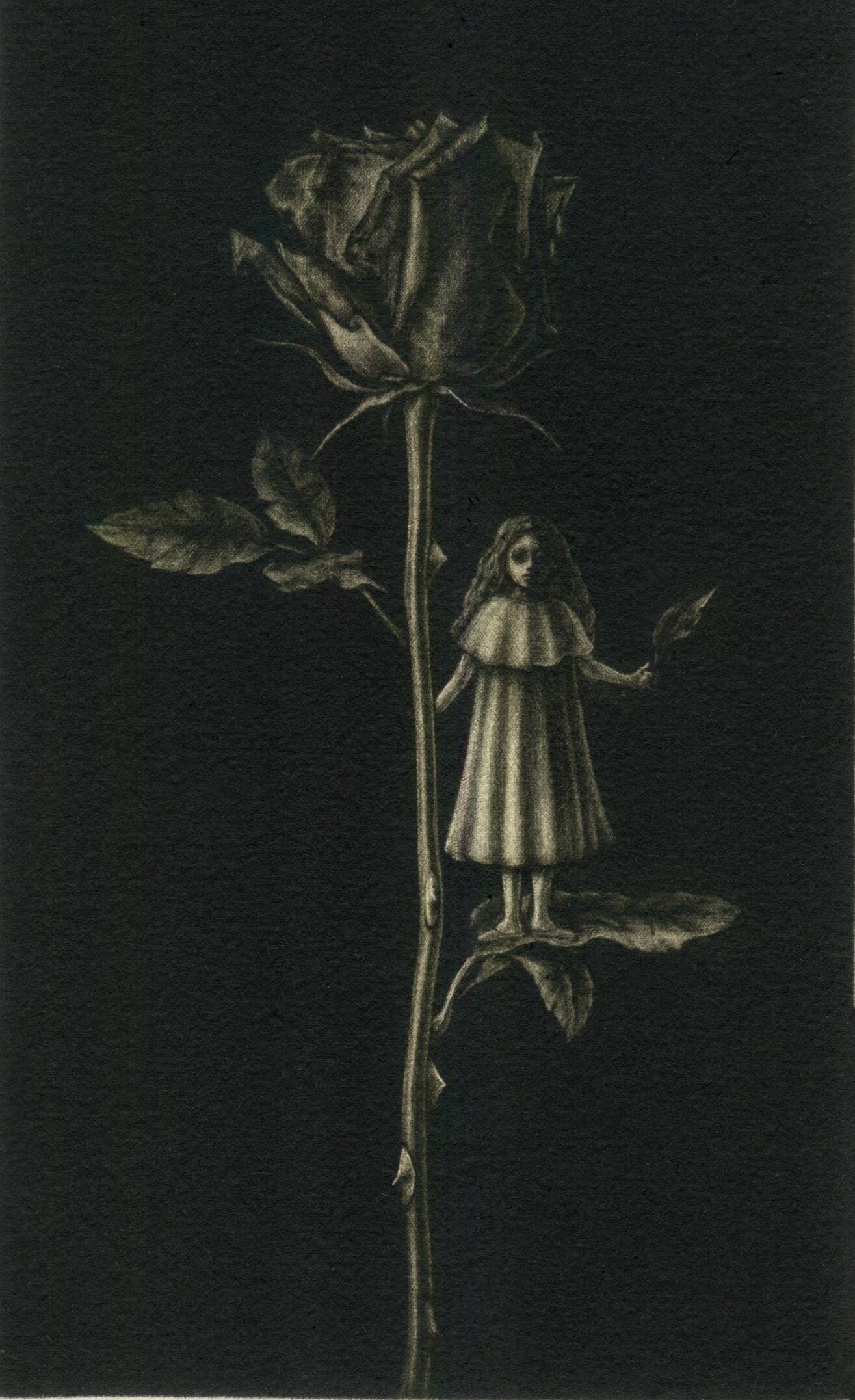 いつかの花言葉 額付 作 山城有未 Gallery Zaroff Net Store いつかの花言葉 額付 作 山城有未 Gallery Zaroff Net Store