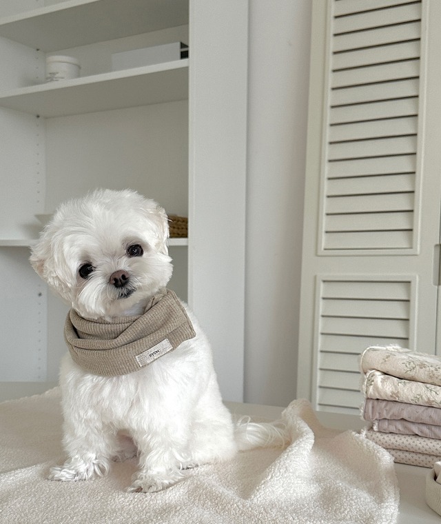 〈予約アイテム〉EYOU / ニットマフラー