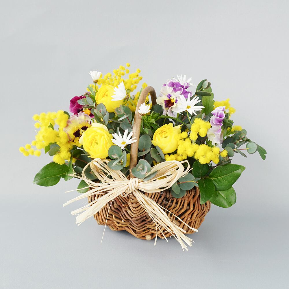 国産ミモザ 春のアレンジメント Pique Niqueピクニック 送料込み よいはな Yoihana 最高品質のお花をお届けするネット通販