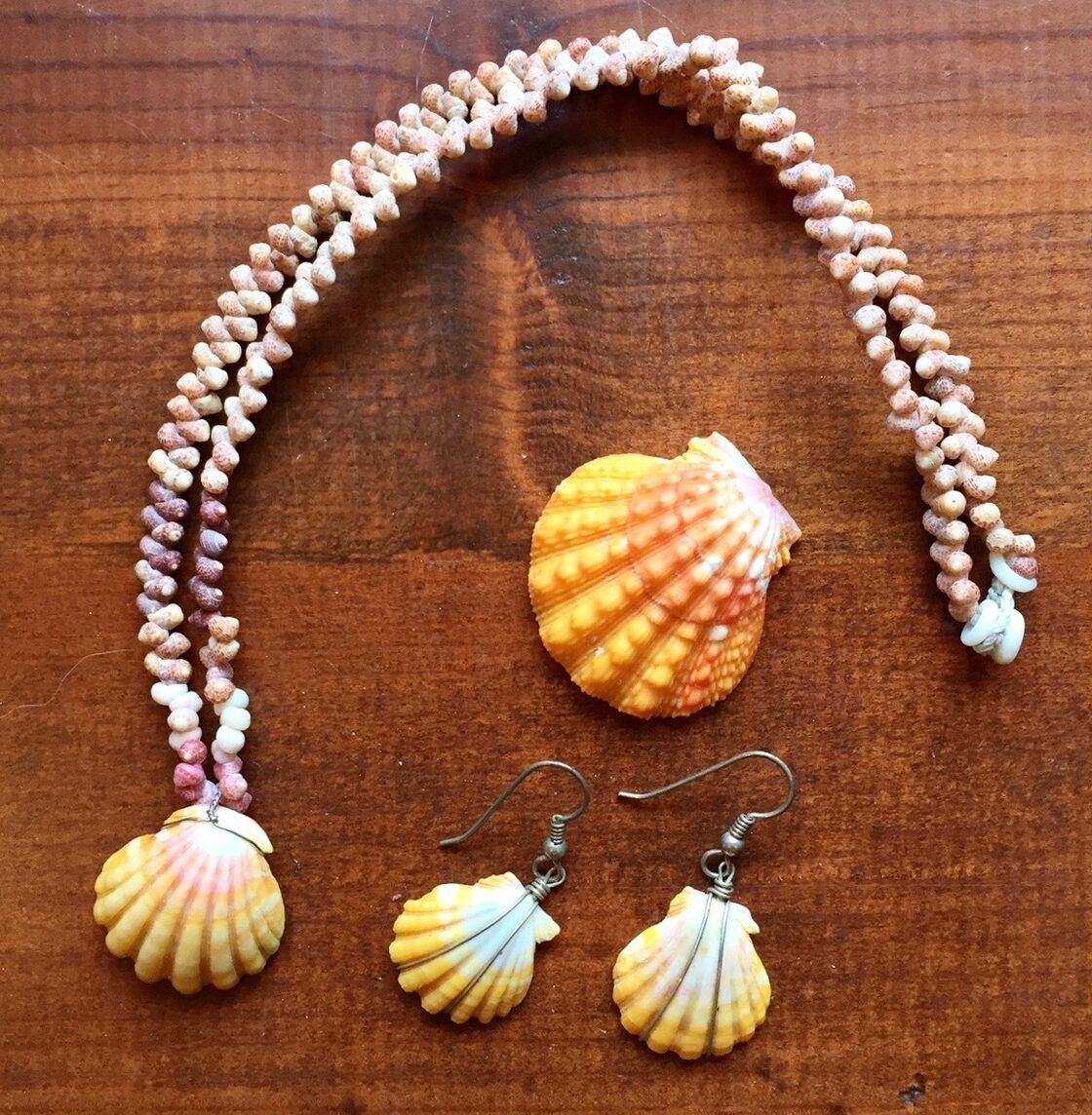 サンライズシェルピアス | PAY ID