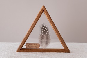 空中標本 大 -ホロホロチョウの羽