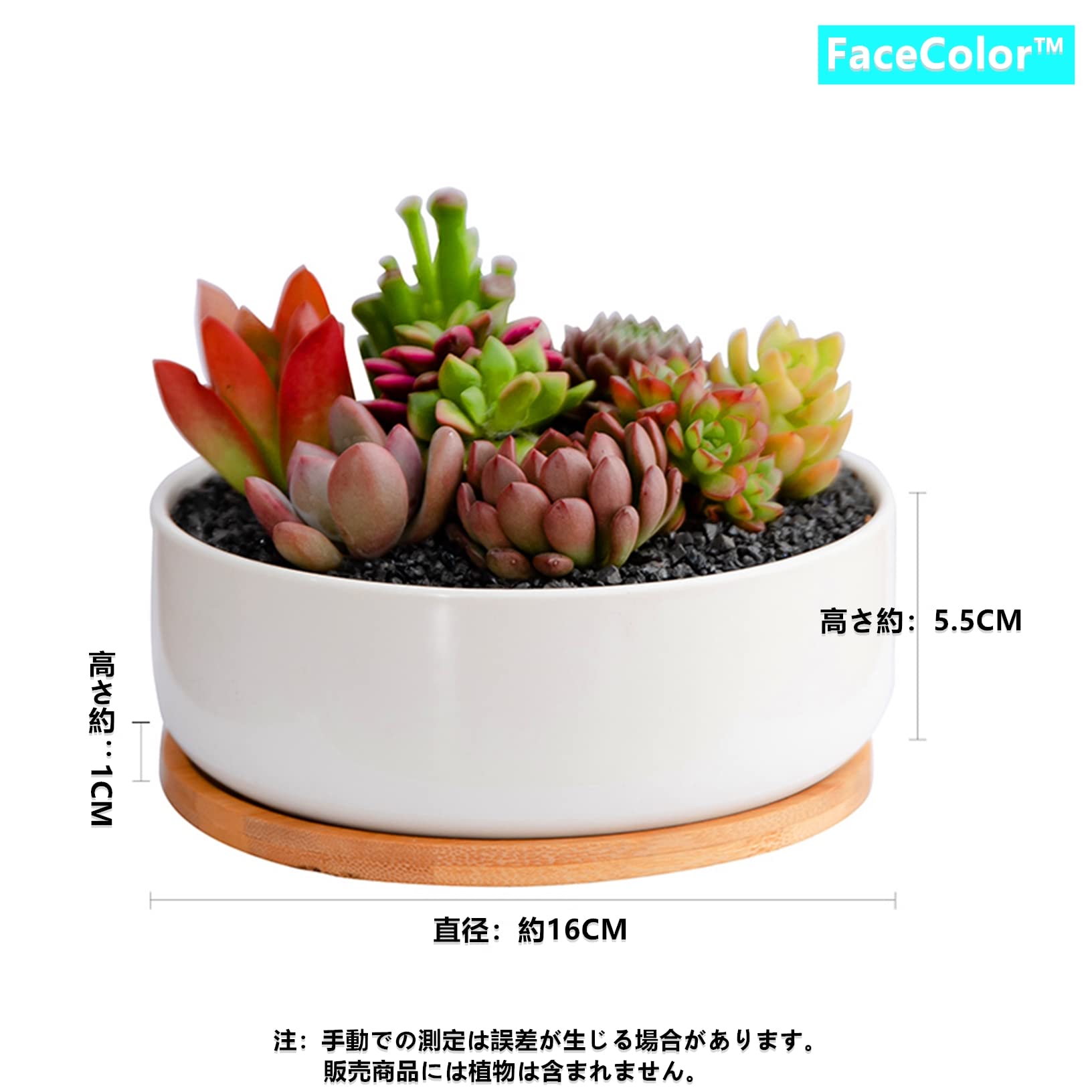 多肉植物鉢 陶器鉢 植木鉢 プランター サボテン鉢 円形と長方形が1つ