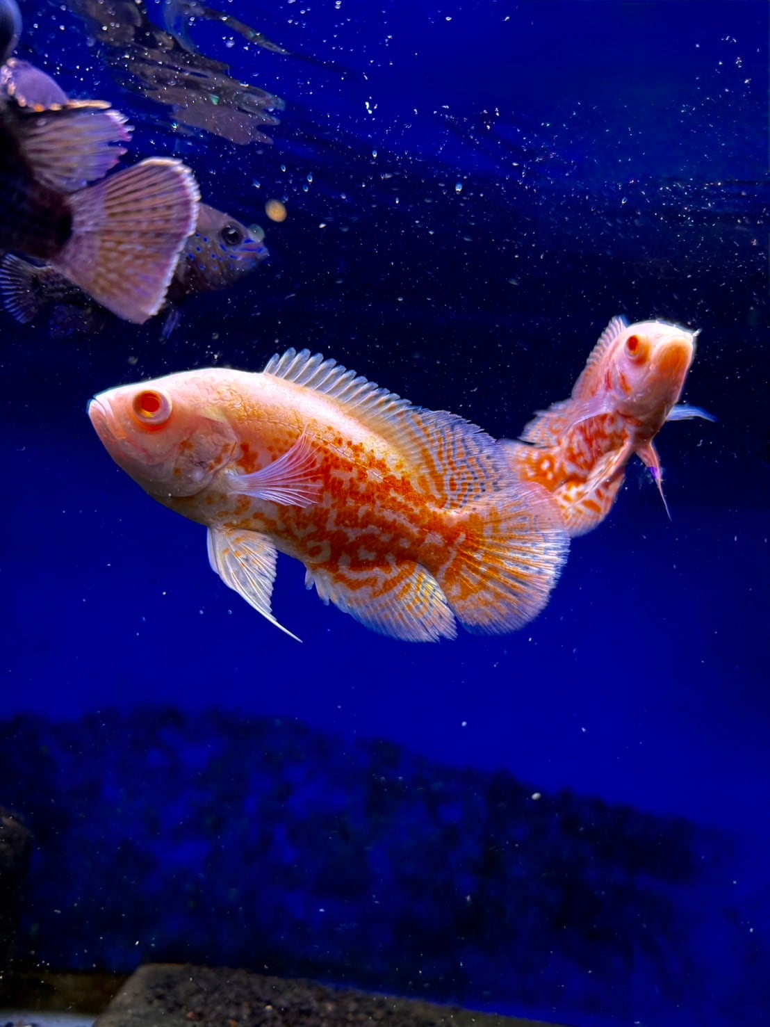 7e99f46d89bf7a80929bd542c6f640