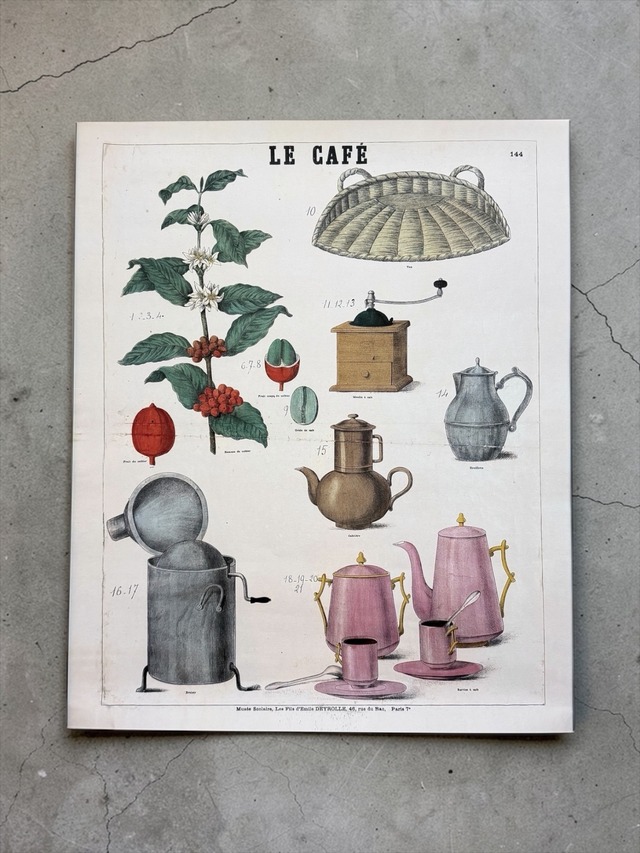 DEY ROLLE 教育用図盤  "Coffee " / W490mm×H588mm