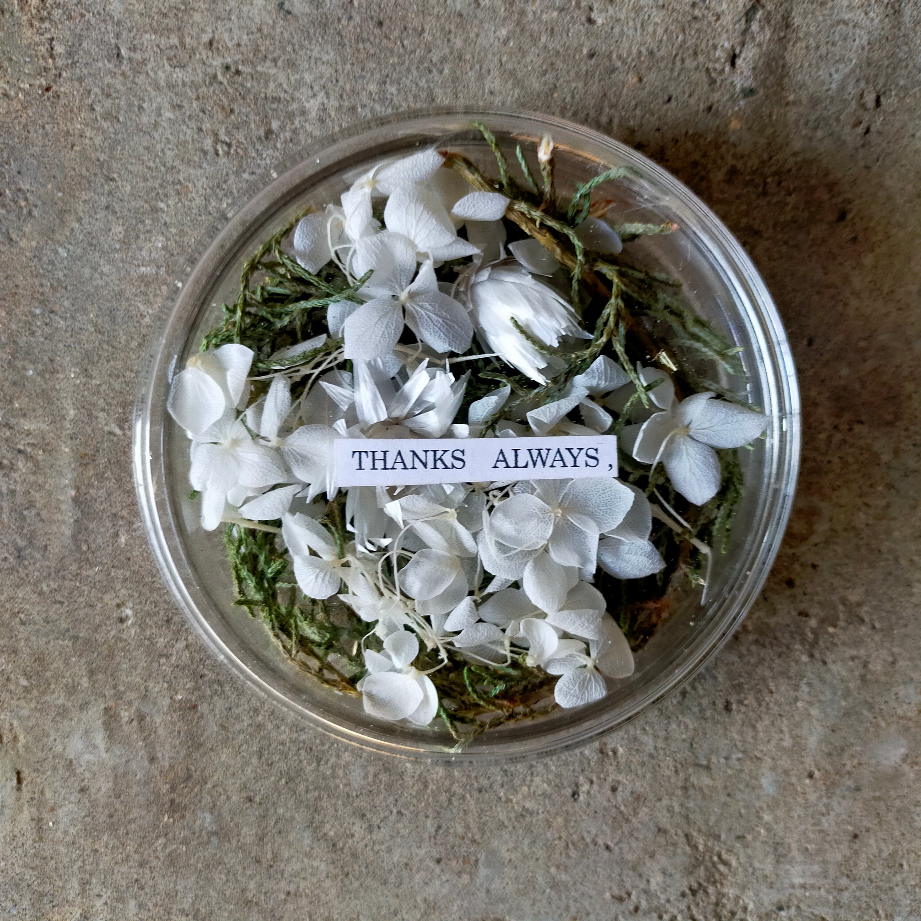 ドライフラワーインケースS【dried flower in case 】 | merry_go_round