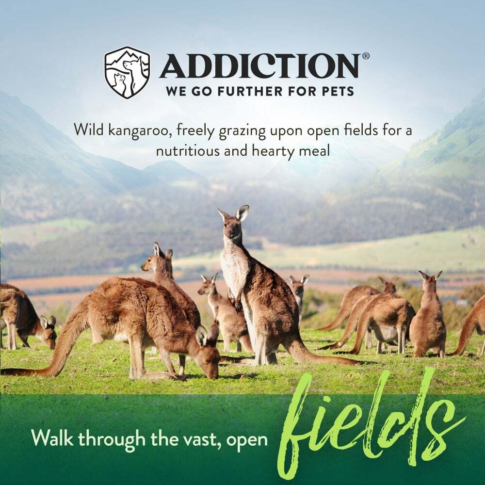 ADDICTION ワイルドカンガルー&アップル ドッグフード 9kg | ADDICTION
