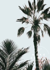 Memories day｜ヴィンテージパームツリーのリゾートアートポスター｜大人のカリフォルニアスタイルを叶えるおしゃれなインテリアA3ポスター