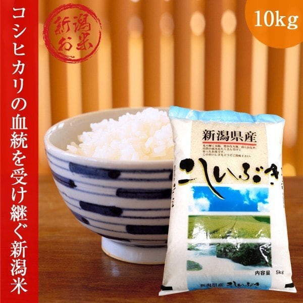 新米　新潟こしいぶき10kg(5kg×2)　白米　新潟のおいしいお米屋さん　米　令和元年度　お米　コシイブキ