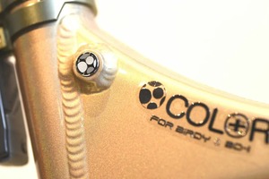 COLORPLUS LOGO Sticker