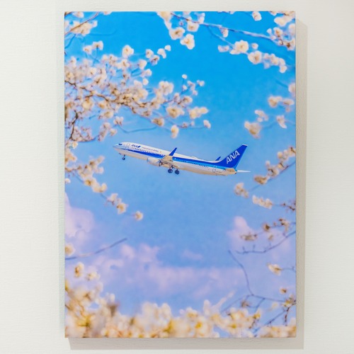 【受賞作品】During the spring ― 春の間に ―｜A2 木製アートパネル 宮川大志 Photography