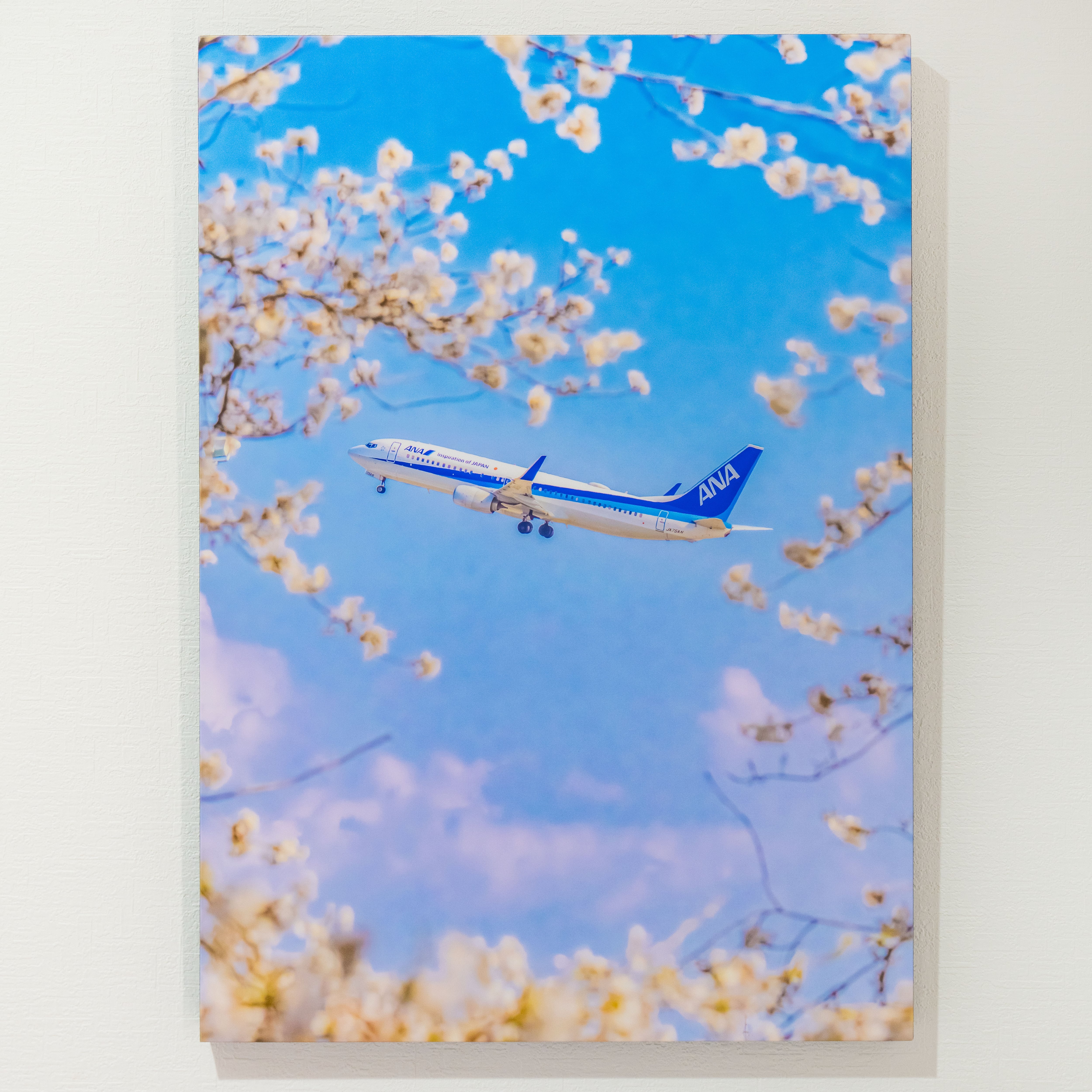 【受賞作品】During the spring ― 春の間に ―|A2 木製アートパネル 宮川大志 Photography