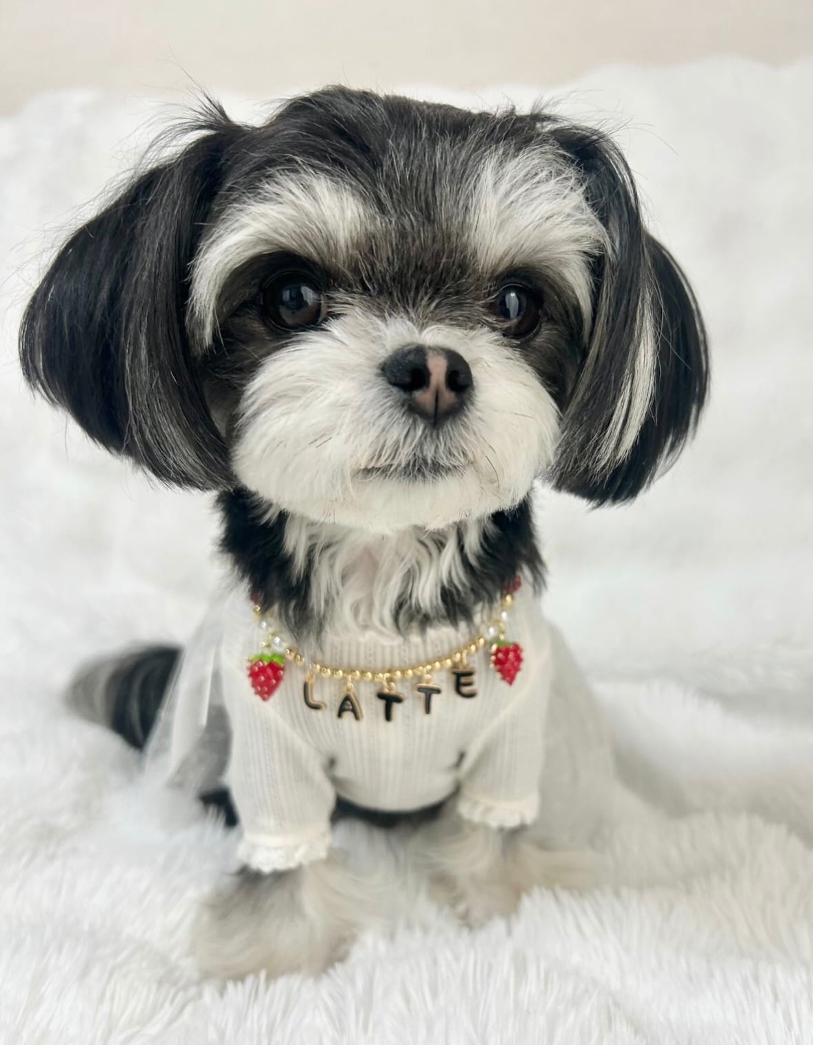 いちごのお名前ネックレス