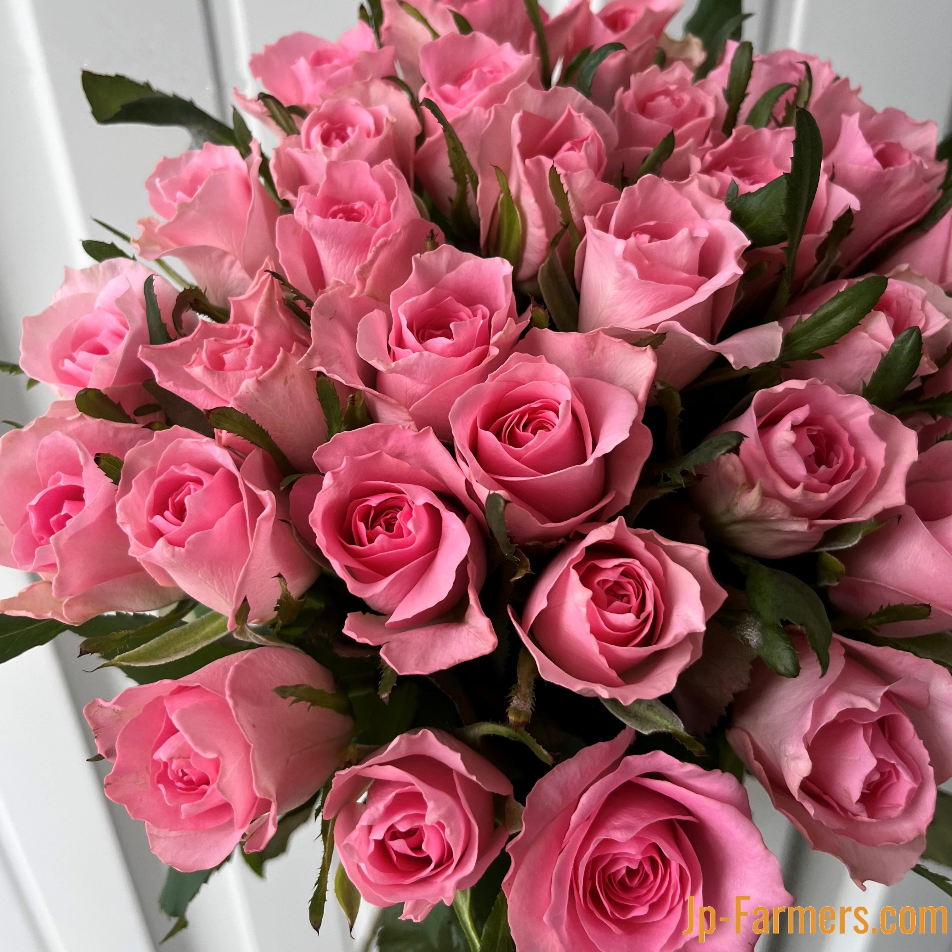 特別な贈り物 高級バラ アニバーサリーローズ ～記念の色・本数に