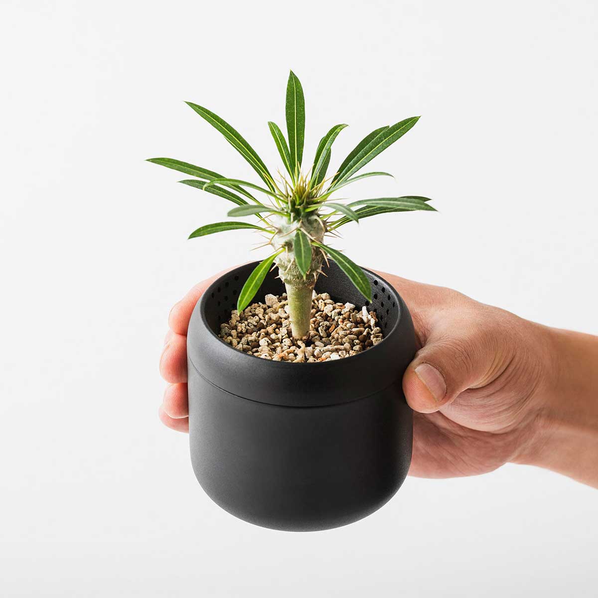 藤田金属 FUJITA KINZOKU PLANT POT HACHI ハチ プランターポット 2号